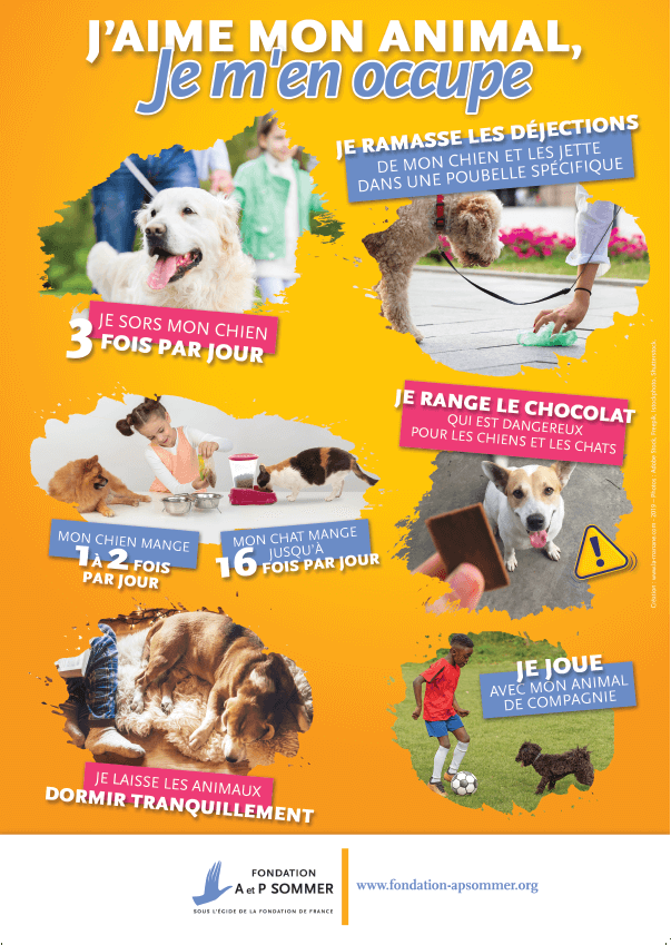 affiche - animaux responsabilité - La Manane, agence de communication pédagogique