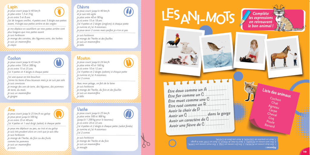 magazine- animots - La Manane, agence de communication pédagogique