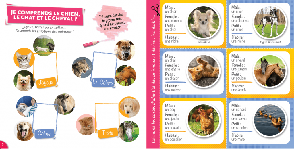 magazine- je comprends le chiens, le chat le cheval - La Manane, agence de communication pédagogique