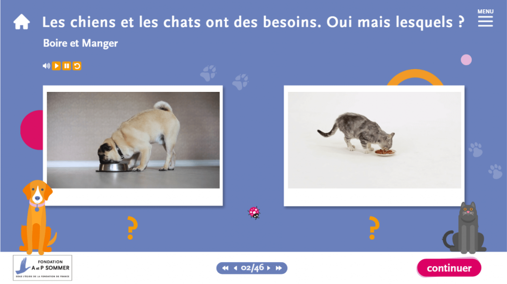support- les chiens et les chats ont des besoins - La Manane, agence de communication pédagogique