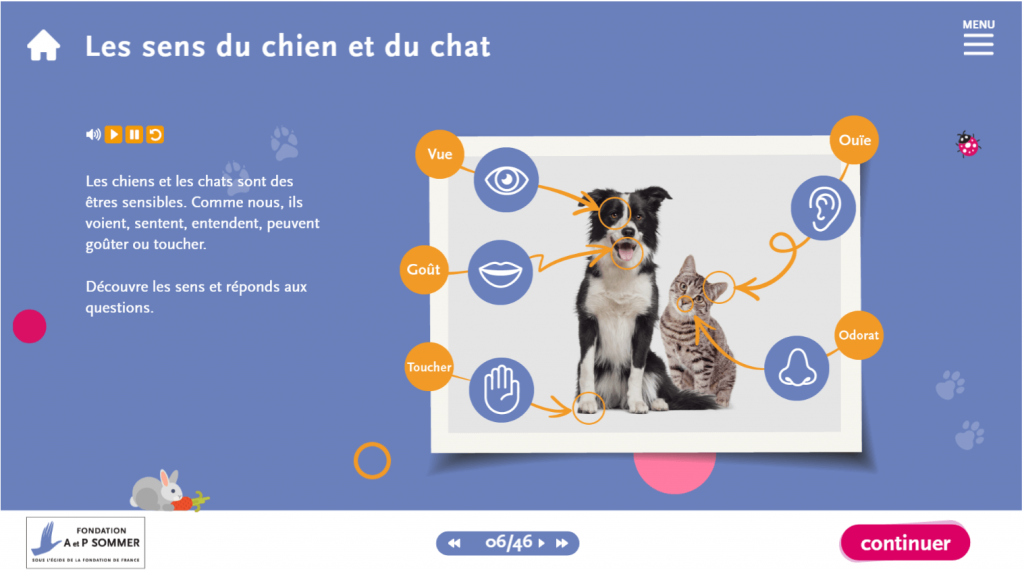 support- les sens des chiens et des chats La Manane, agence de communication pédagogique