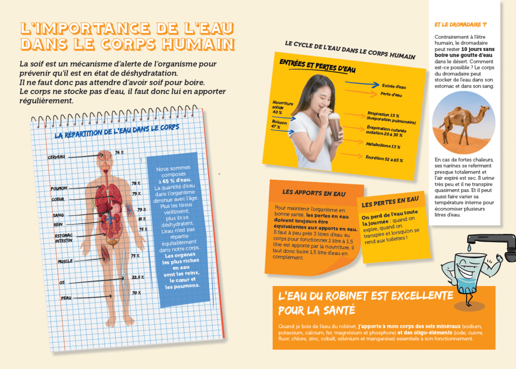 EAU ET CORPS HUMAIN - LA MANANE AGENCE DE COM PEDAGOGIQUE